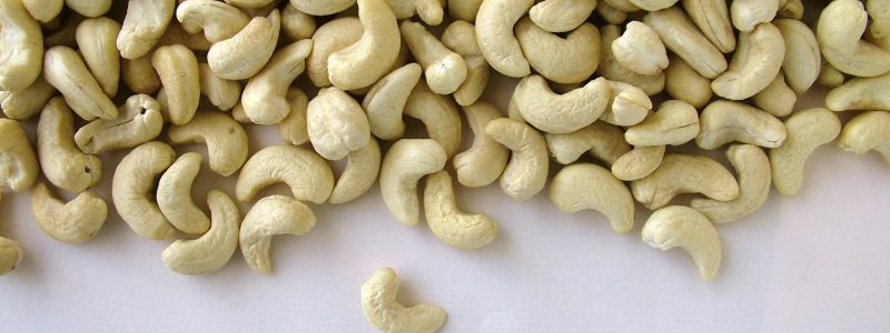 Elmatador Background Image-1