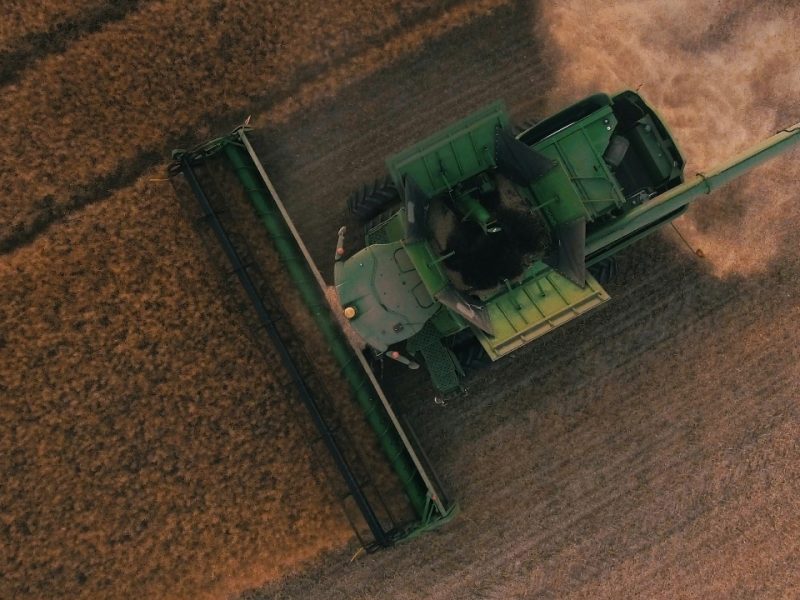 Elmatador Background Image-6