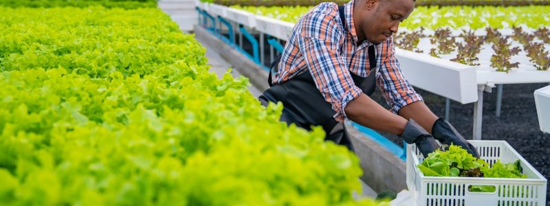 getty-images-gXNOSzB74Wo-unsplash